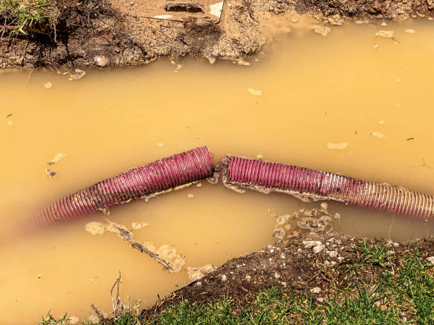 Best Water damage cleanup near me  in Stow, OH
