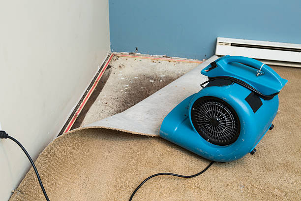Best Professional water damage repair  in Stow, OH